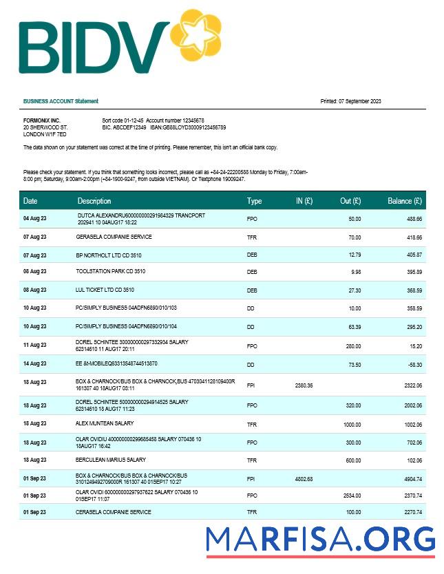 Realistic Bank for Investment and Development of Vietnam (BIDV) business statement Word and PDF template